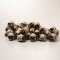 Braise | Lot de 20 mini crânes Halloween