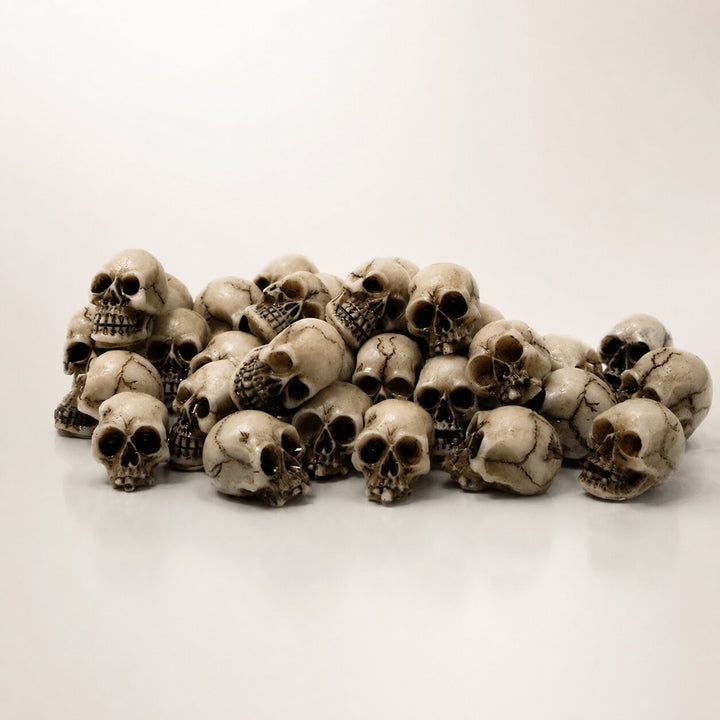 Braise | Lot de 20 mini crânes Halloween