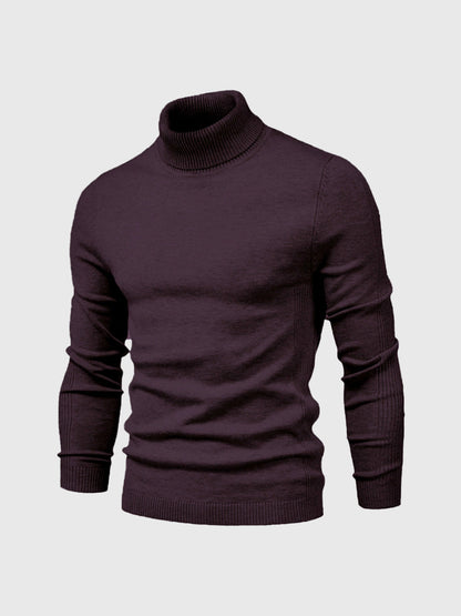 Pull col roulé homme style moderne - violet