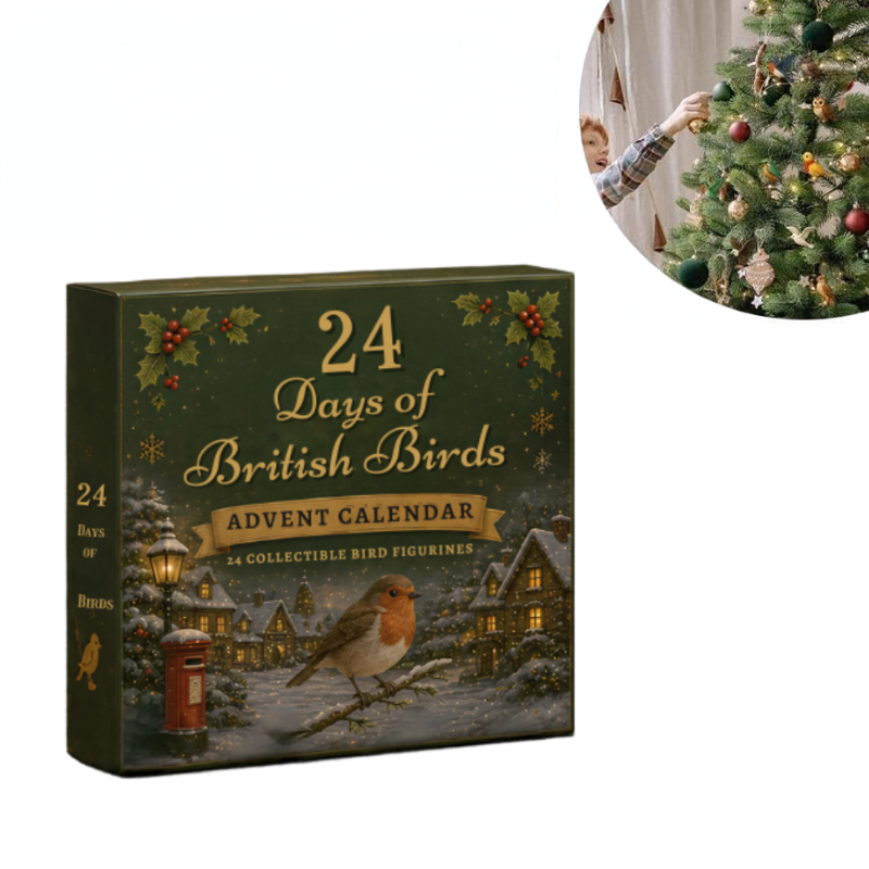 Reine | Calendrier de l’Avent oiseaux